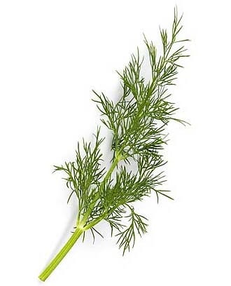 DILL IMPORT BUNT 150G