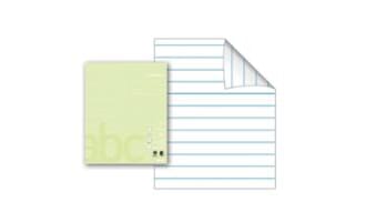 PK15 ARB.BOK 17X21 24ARK 80G 11LINJ LIME 5094382